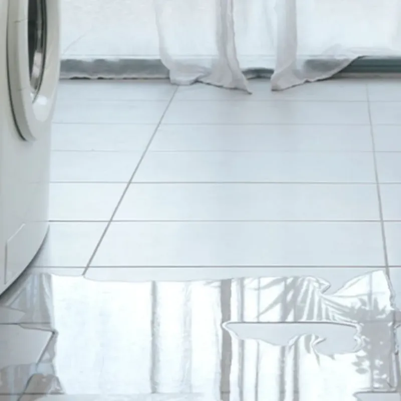 Appliance Leak Cleanup in Inverness, AL