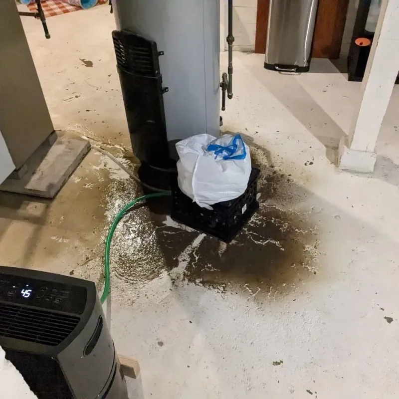 Sewage Backup Cleanup Service in Inverness, AL